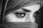 как выгледит мужские письки